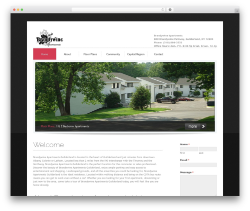 WordPress theme WordPress Theme 1255 - brandywineapartmentsguilderland.com