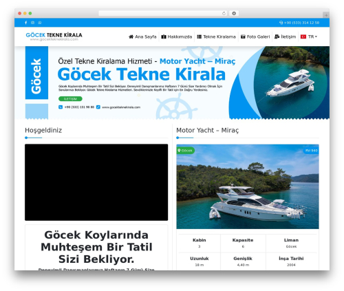 wp_v1 WordPress theme - gocekteknekirala.com