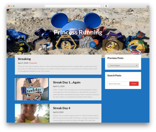 Adaptable Notes WordPress theme - princessrunning.com