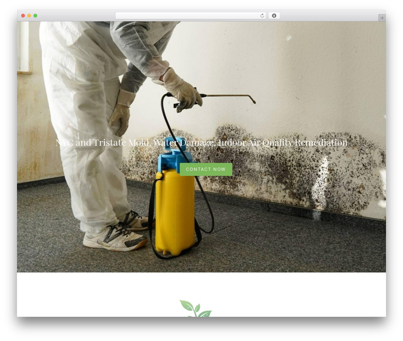 Constructor WordPress theme design - envirobliss.com Constructor WordPress theme design - envirobliss.com