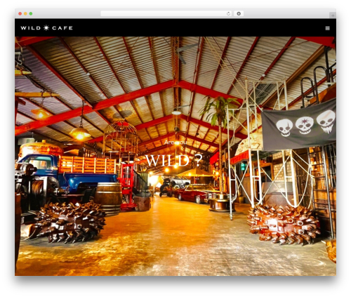 DIVA WP theme - wild-cafe.com