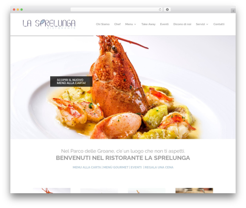 Divi_layout_injector WordPress plugin - lasprelunga.it