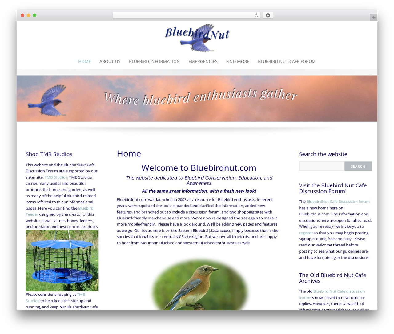 Emphasize Pro WP theme - bluebirdnut.com Emphasize Pro WP theme - bluebirdnut.com