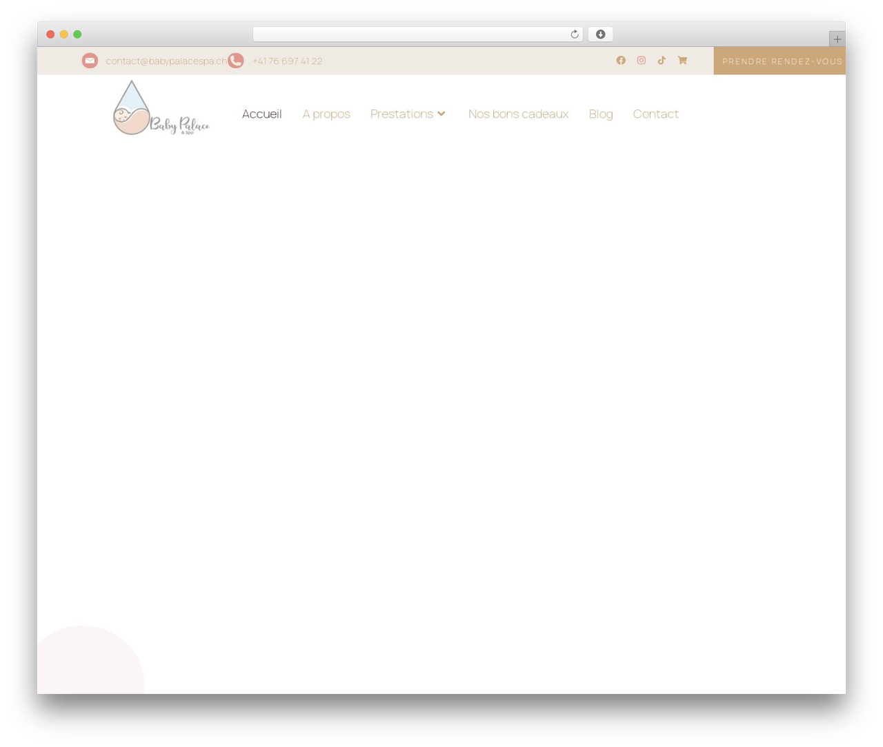 Hello Elementor theme WordPress - babypalacespa.ch