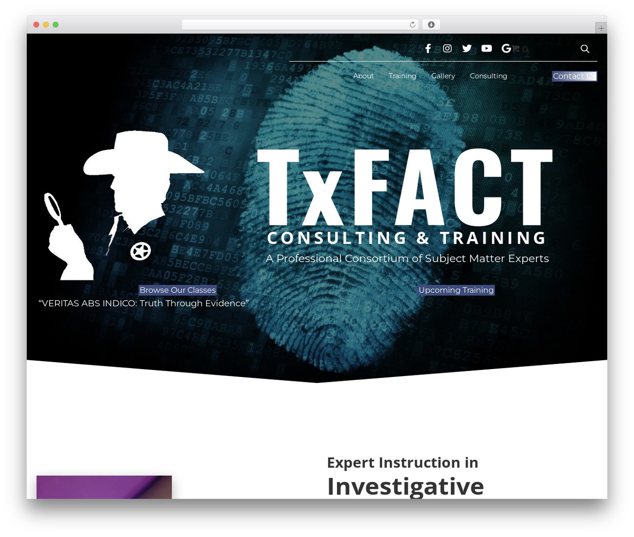 Theme WordPress Beaver Builder Theme - txfact.com