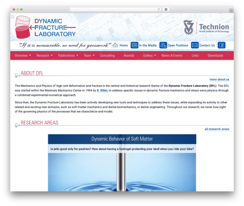 Theme WordPress dfl - rittel.group