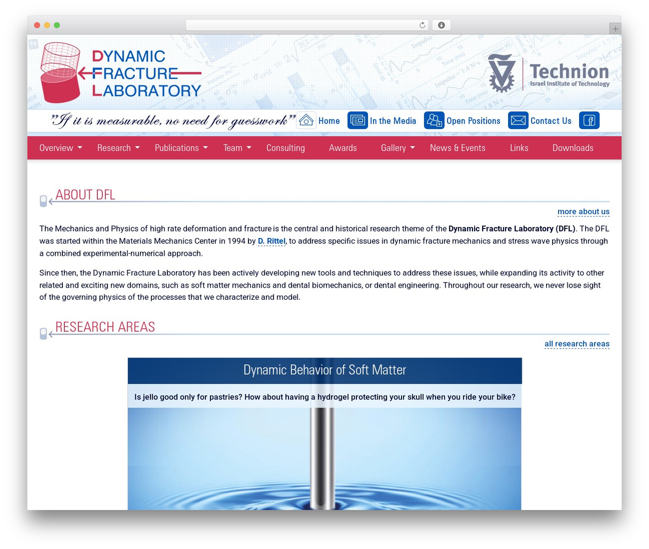 Theme WordPress dfl - rittel.group
