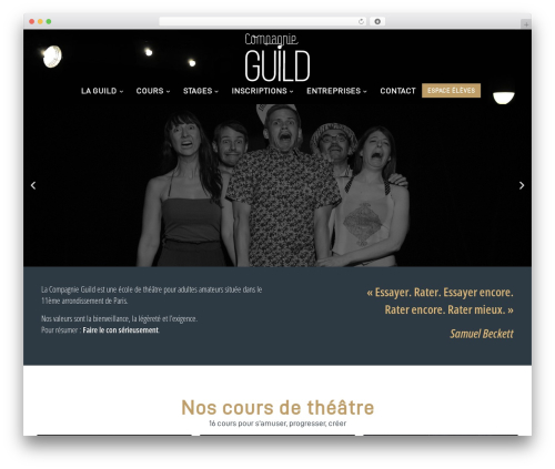 Theme WordPress Hello Elementor - compagnieguild.com