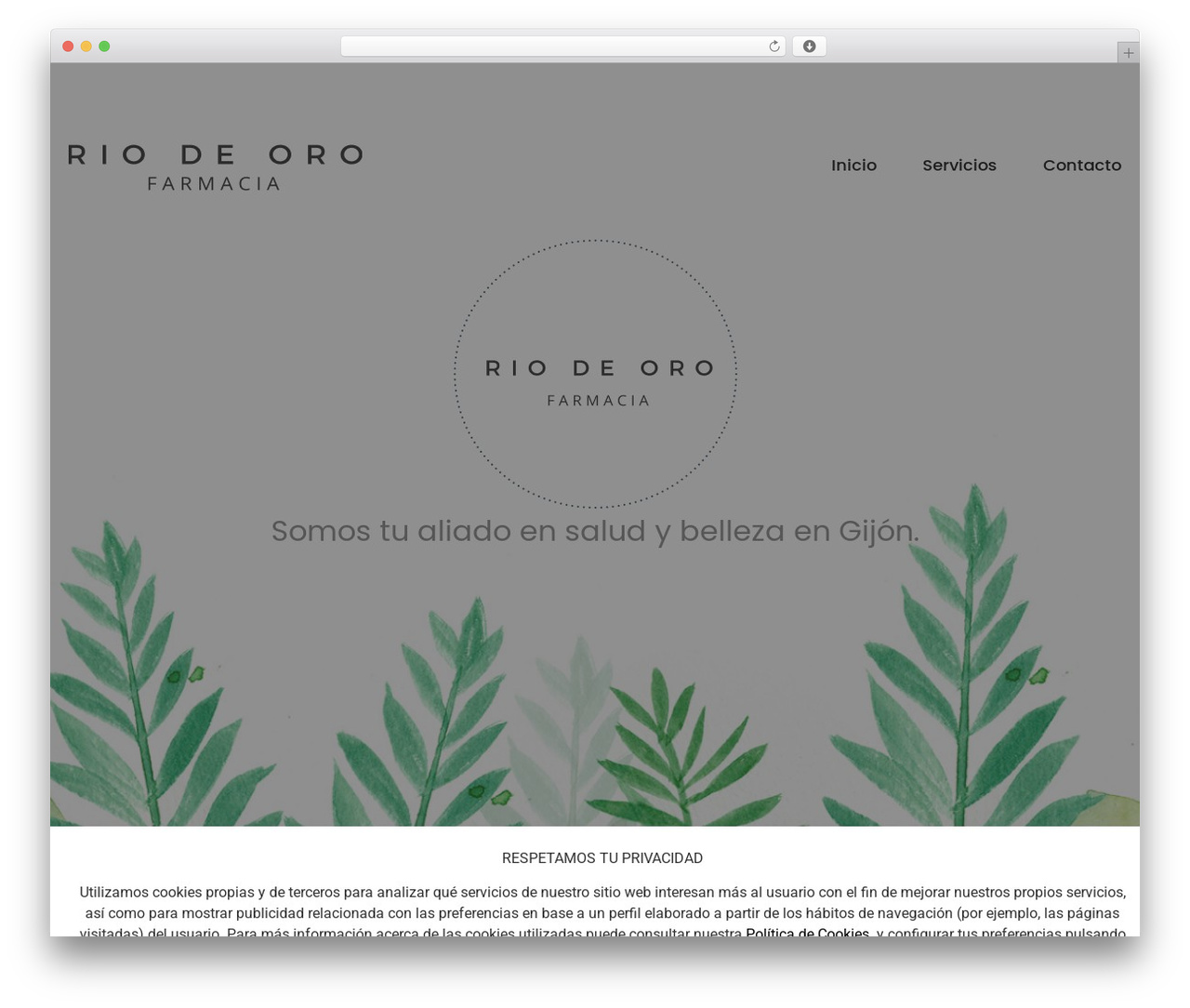 WordPress theme Hello Elementor - riodeoro.es
