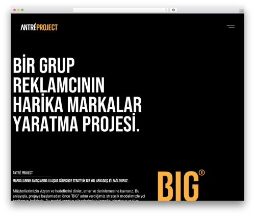 WordPress theme Rubenz - antreproject.com