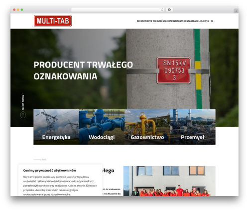 WordPress theme Website Style - multi-tab.pl