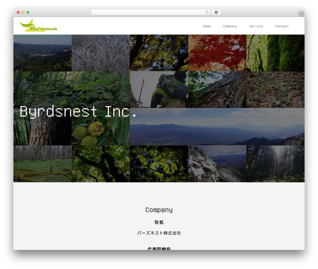 WordPress website theme starter - byrdsnest.co.jp WordPress website theme starter - byrdsnest.co.jp