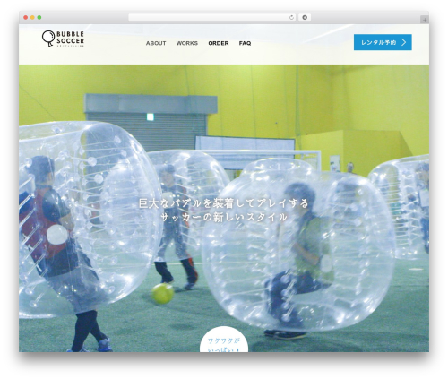 Tcd workflow WordPress plugin - bubble-soccer.jp