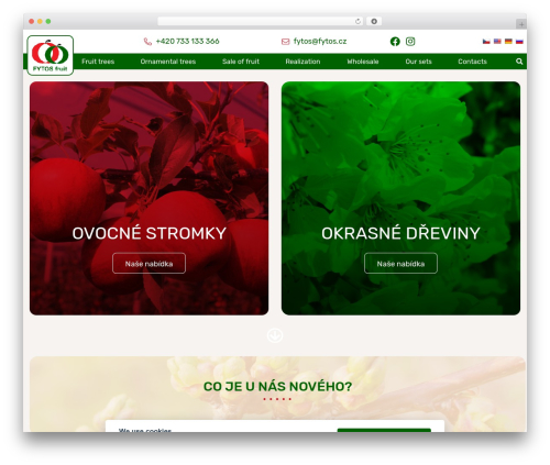 Bootstrap Basic4 best free WordPress theme - fytos.cz