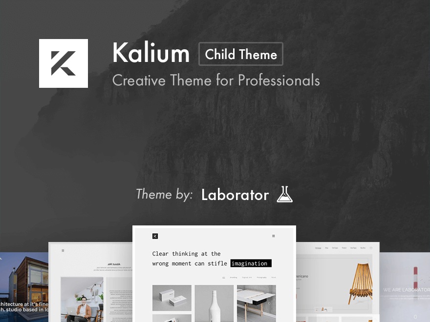 Brolly WordPress theme by Brolly Media