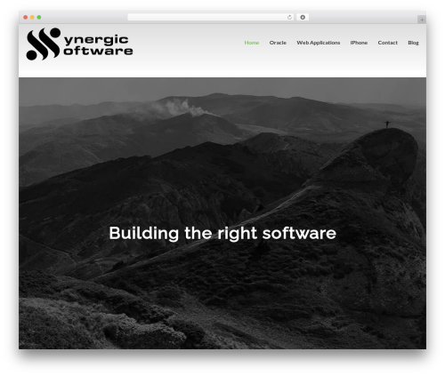 DynamiX theme WordPress - synergic.com