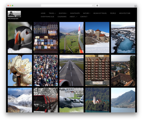 Fluxus WordPress theme - bleuer.com