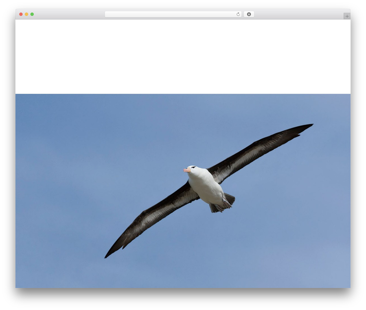 Hello Elementor theme WordPress - albatros-hospiz.de Hello Elementor theme WordPress - albatros-hospiz.de