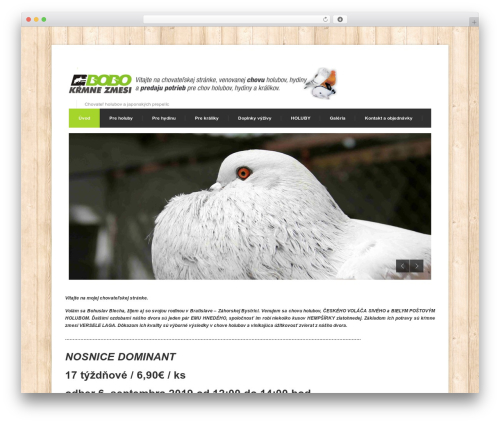 Theme WordPress Centum WP - blecha.sk