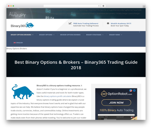 Theme WordPress Mega Project - binary365.com