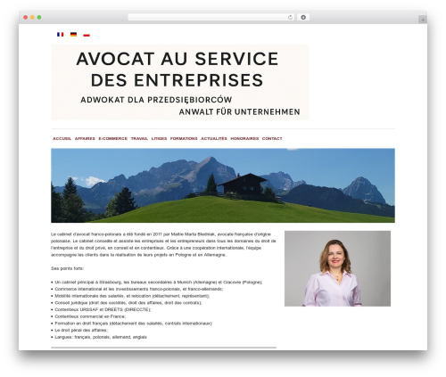 Thesis theme WordPress - bledniak-avocat.com