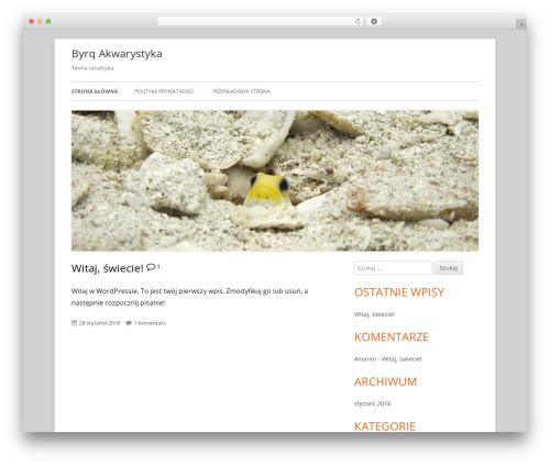 Tiny Framework theme WordPress free - byrq.pl