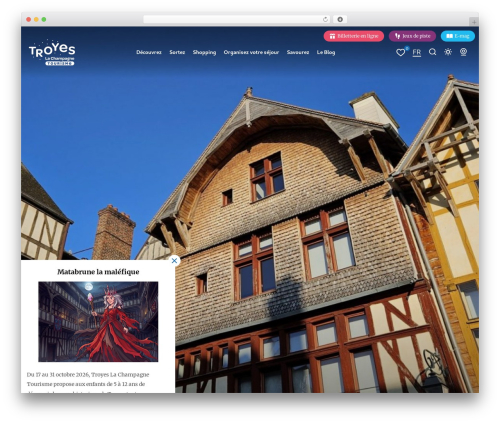 Iris sso instagram WordPress plugin - troyeslachampagne.com