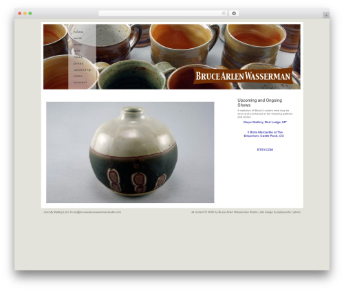 WordPress theme Wasserman - brucearlenwassermanstudio.com
