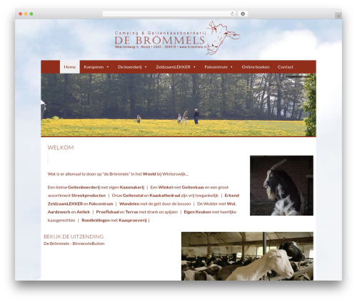 WP theme Empty Core - brommels.nl