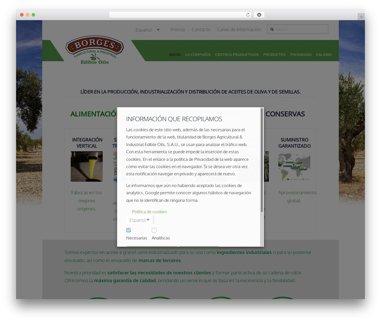 X WordPress theme - borges-baieo.com X WordPress theme - borges-baieo.com