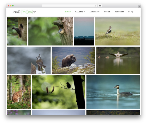 Xtra WordPress theme - pavelphoto.cz