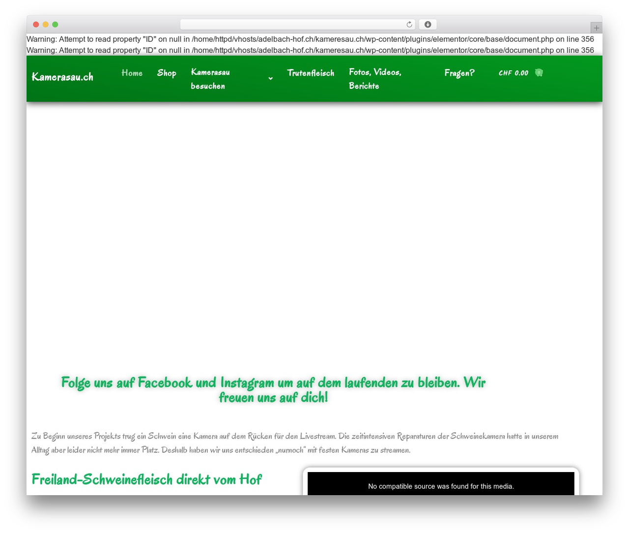 Hello Elementor free WordPress theme - kamerasau.ch