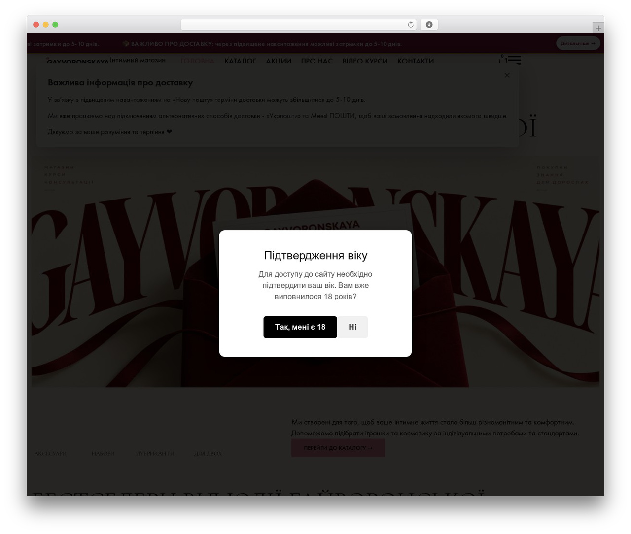 sexshop WordPress theme - gayvoronskaya.com