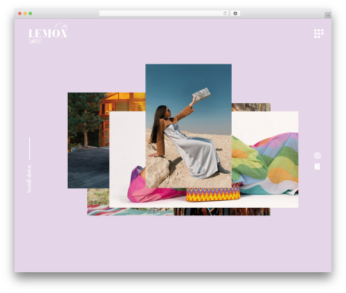 Manon core WordPress plugin - thelemonagency.com