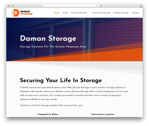 Divi WordPress theme - damanstorage.com