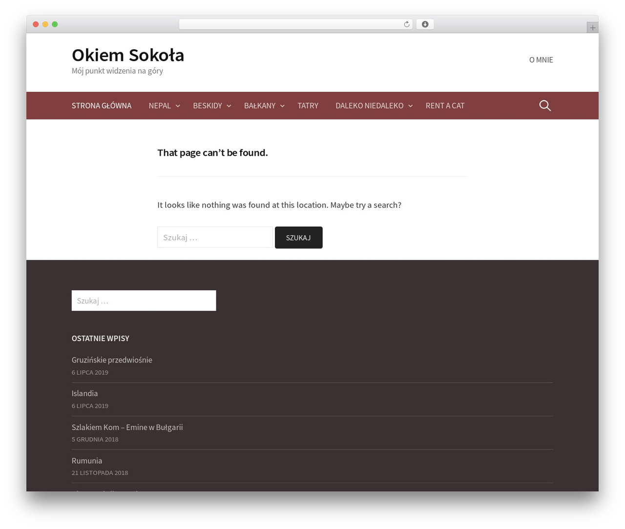 First theme WordPress - okiemsokola.pl