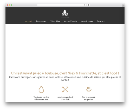 Hcode addons WordPress plugin - silexetfourchette.com