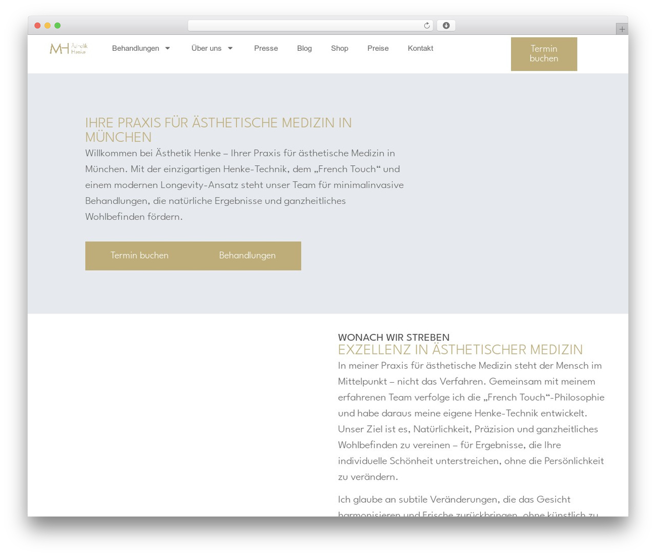 WordPress theme Hello Elementor - aesthetik-henke.de