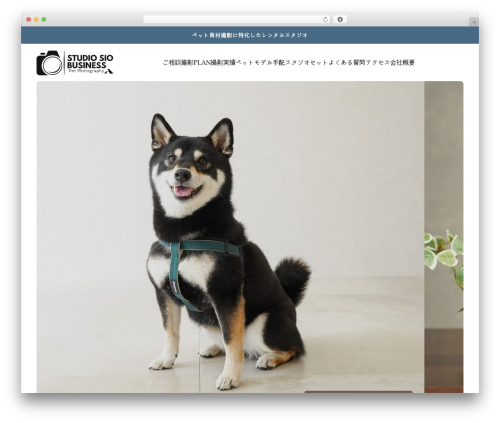 BASARA WordPress theme - studiosio-business.com BASARA WordPress theme - studiosio-business.com
