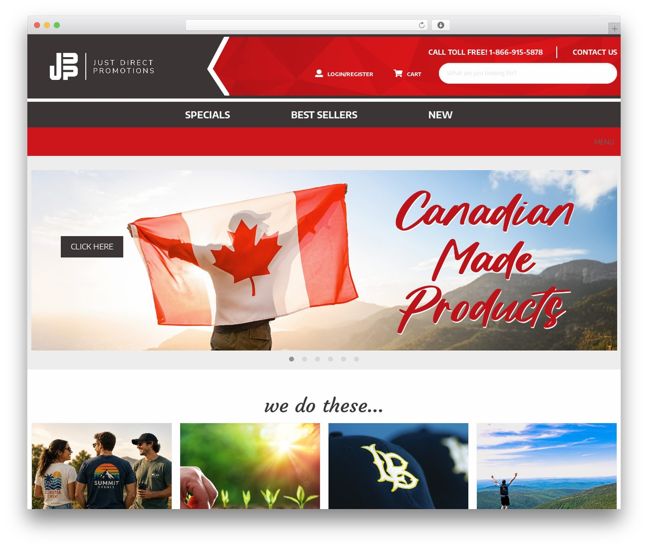 Future Access - Starter Theme WordPress website theme - justdirectpromotions.ca