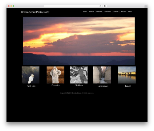 Modularity Lite wallpapers WordPress theme - brendaschadphotography.com