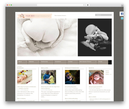 GPP Slideshow (gpp-slideshow) free WordPress plugin - fourbeesphotography.com GPP Slideshow (gpp-slideshow) free WordPress plugin - fourbeesphotography.com