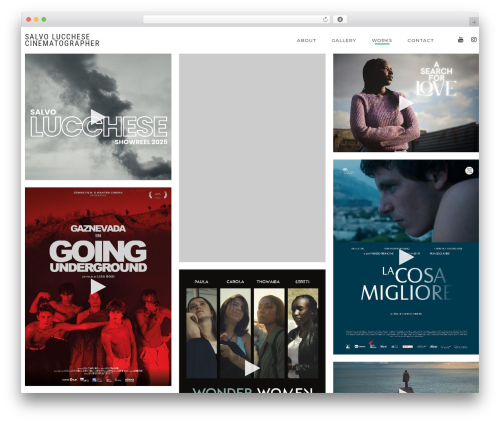 Tempus theme WordPress - salvolucchese.com