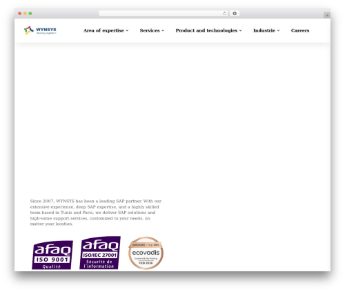 WordPress theme Divi - wynsys.com