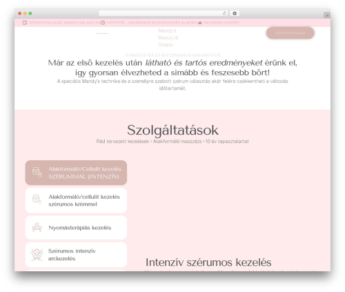 Cmsmasters elementor addon WordPress plugin - mandys.hu