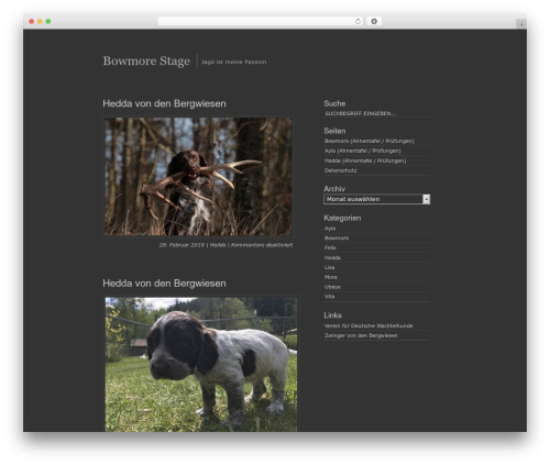WordPress theme SimplicityDark - bowmore-stage.de