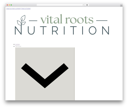 Debloat – Remove Unused CSS, Optimize JS (debloat) free WordPress plugin - vitalroots.ca Debloat – Remove Unused CSS, Optimize JS (debloat) free WordPress plugin - vitalroots.ca