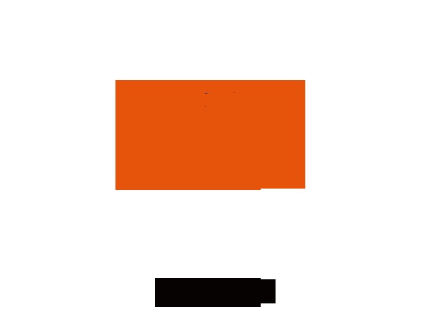 Customised Theme WordPress website theme Customised Theme WordPress website theme