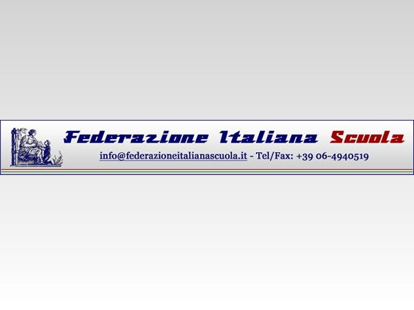 FIS theme WordPress