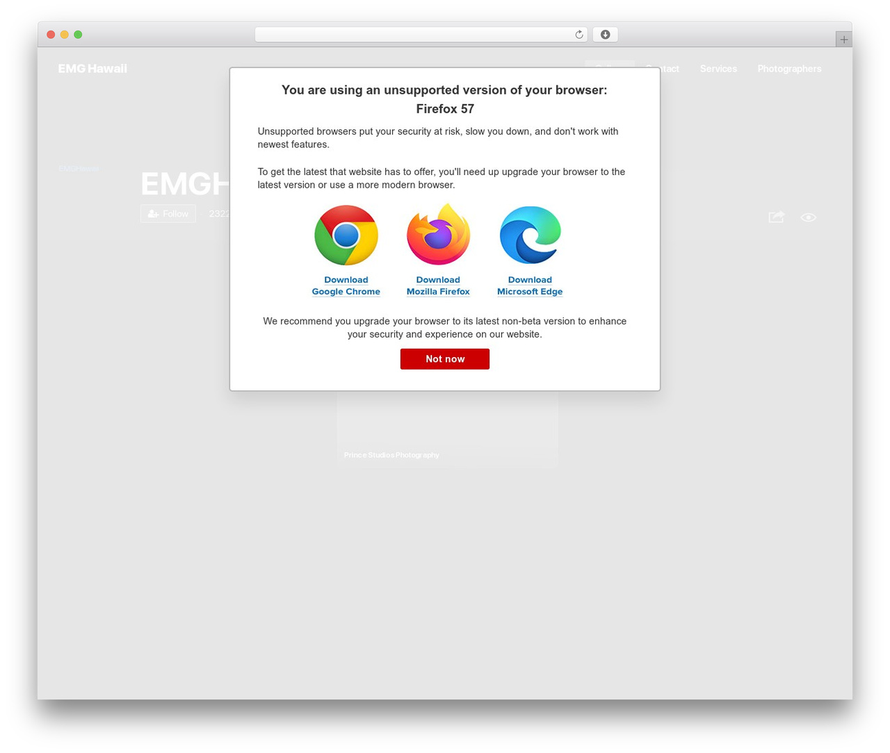 Flatbase best WordPress gallery - emghawaii.com